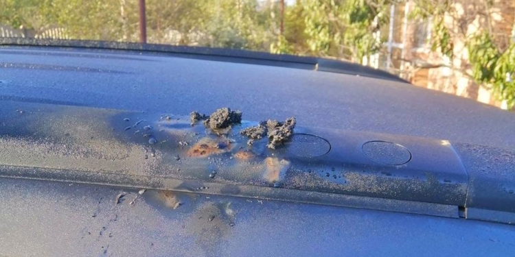 На Николаевщине сельскому голове, который снова баллотируется на этот пост, пытались сжечь машину (ФОТО)