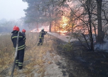Число погибших в пожарах на Луганщине достигло 11