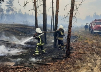 На Луганщине ликвидировали один из очагов пожаров