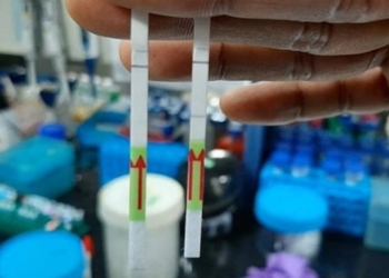 В Индии разработали первый в мире бумажный тест на COVID-19