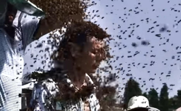 Рекорд Гиннеса: китайца облепили килограммы пчел (ВИДЕО)