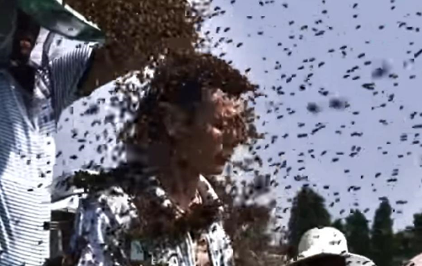 Рекорд Гиннеса: китайца облепили килограммы пчел (ВИДЕО) 1