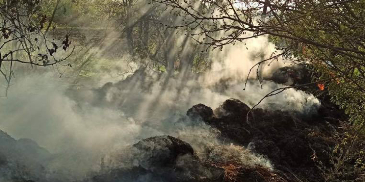 Хозпостройка, сено и 3 пожара на открытых территориях: что тушили в Николаевской области за сутки (ФОТО)