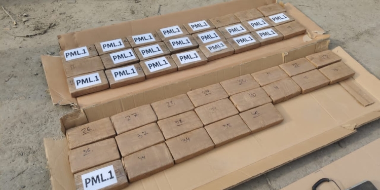 В Одессу в контейнере с фруктами прибыл груз кокаина на 10 млн.долларов – СБУ его задержала (ФОТО, ВИДЕО)