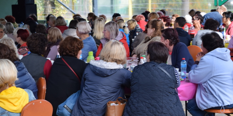 День учителя в Николаеве: Заповедная зона, минимум СМИ и мэр в отпуске (ФОТО, ВИДЕО)