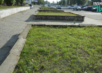 Общественный бюджет Николаева: Авторы «Атлетик Парка» добавят собственные деньги на реализацию проекта (ВИДЕО)