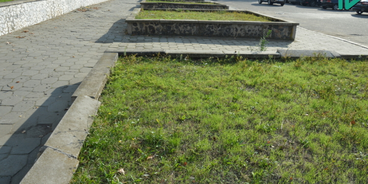 Общественный бюджет Николаева: Авторы «Атлетик Парка» добавят собственные деньги на реализацию проекта (ВИДЕО)