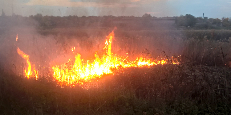 На Николаевщине горела сухая трава, кустарники и камыш на площади 7,7 га (ФОТО)