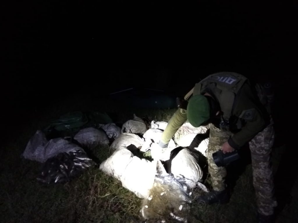 Ночью возле Березани пограничники поймали браконьеров - с кефалью и камбалой (ФОТО) 5
