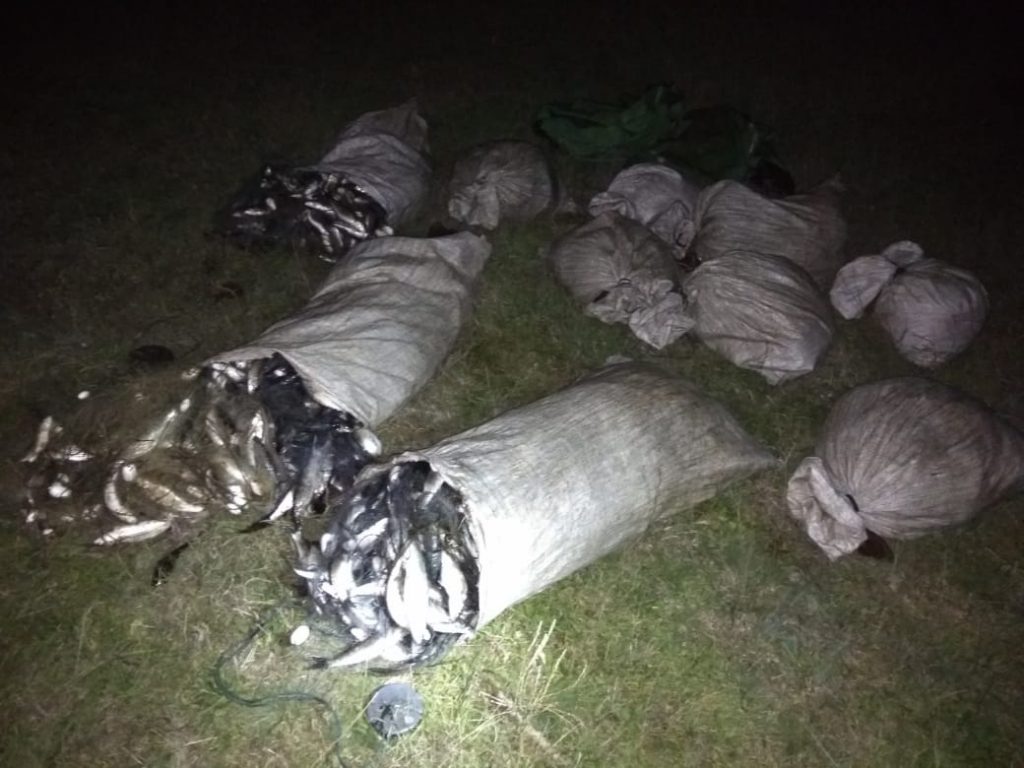 Ночью возле Березани пограничники поймали браконьеров - с кефалью и камбалой (ФОТО) 1