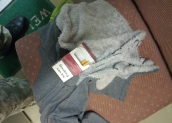 В Николаеве на иностранном судне служебный пес Тайсон нашел марихуану (ФОТО)