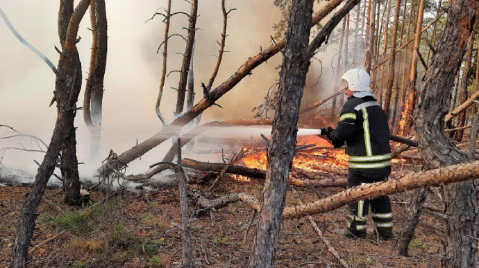 В Луганской области ликвидировали все очаги пожаров 1