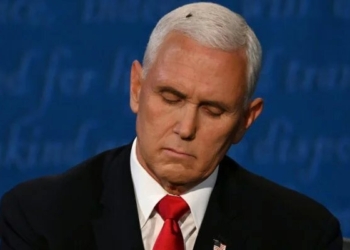 Дебаты вице-президентов в США: главной героиней стала муха, севшая на голову Пенсу (ФОТО, ВИДЕО)