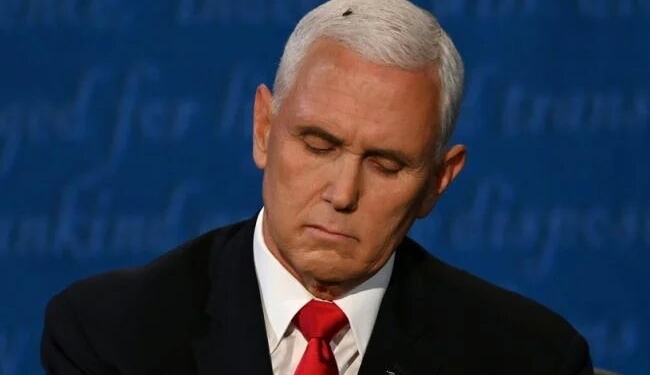 Дебаты вице-президентов в США: главной героиней стала муха, севшая на голову Пенсу (ФОТО, ВИДЕО)