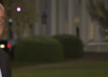 Животные за Трампа? На корреспондента CNN прямо перед эфиром возле Белого Дома напал енот (ВИДЕО)