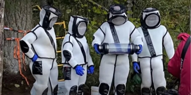 Зубной нитью и пылесосом. В США уничтожили гнездо гигантских шершней-убийц (ВИДЕО)