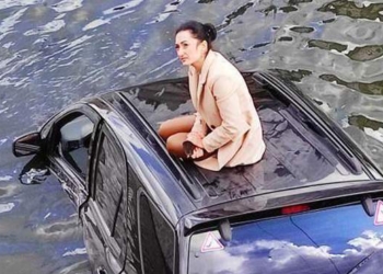 Новая Русалочка: в Харькове джип упал в реку – его водитель стала мемом (ФОТО, ВИДЕО)