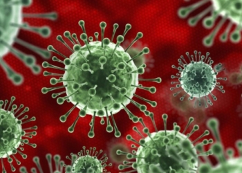 Пандемия: число инфицированных COVID-19 в мире почти 43,5 млн