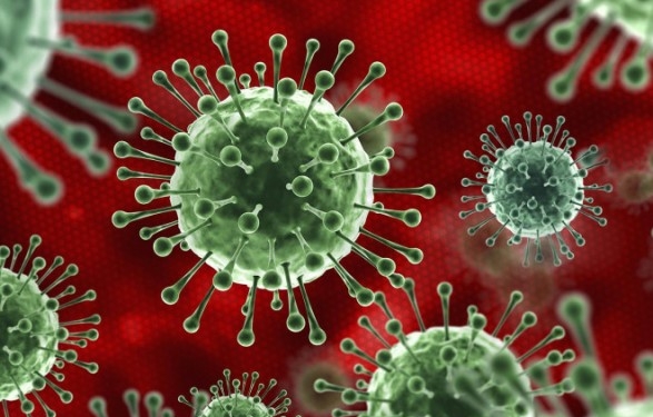 Пандемия: число инфицированных COVID-19 в мире почти 43,5 млн