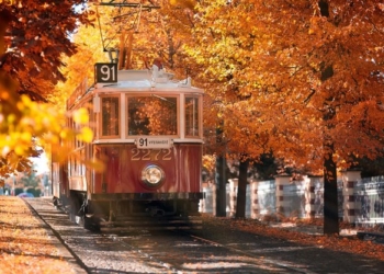 Осень в разных уголках мира (ФОТО)