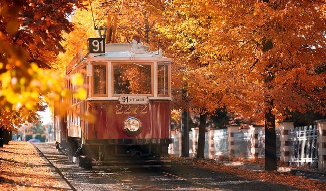 Осень в разных уголках мира (ФОТО)