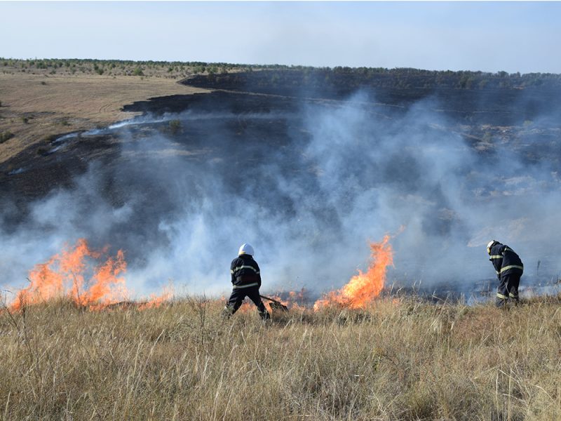 Пожар в заповеднике «Еланецкая степь» на Николаевщине нанес ущерб свыше 1,6 млн.грн. 1