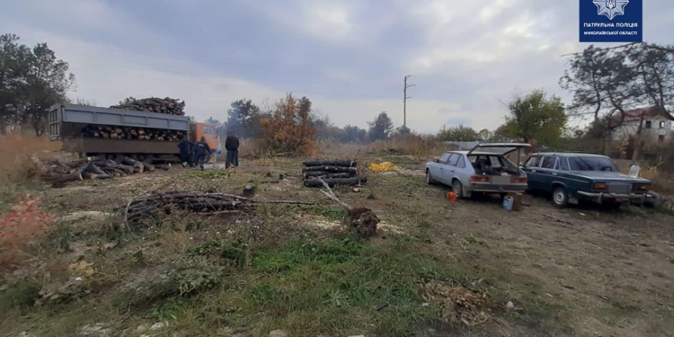 В Николаеве патрульные выявили мужчин, который в одной из лесополос у дач пилили деревья (ФОТО)