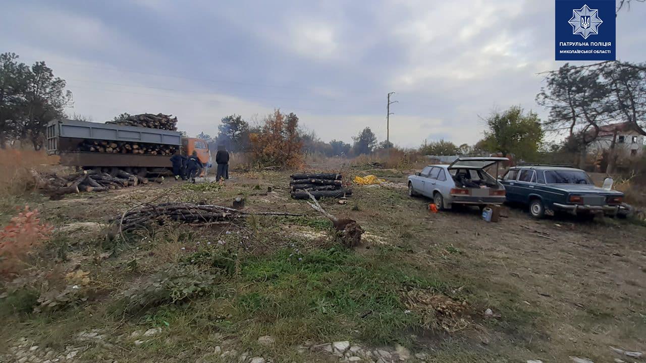 В Николаеве патрульные выявили мужчин, который в одной из лесополос у дач пилили деревья (ФОТО)