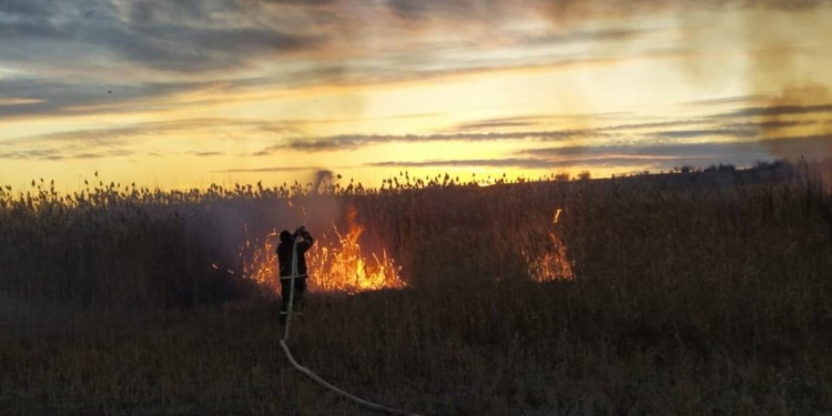 За сутки на Николаевщине выгорело свыше 2 тыс.кв.м открытых территорий (ФОТО)