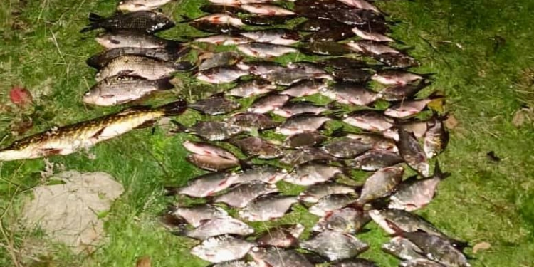 И лодка, полная лещами: у Калиновки Николаевский рыбоохранный патруль поймал браконьера (ФОТО)