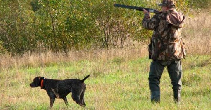 На Николаевщине участились случаи использования охотничьих собак без паспортов (ФОТО)