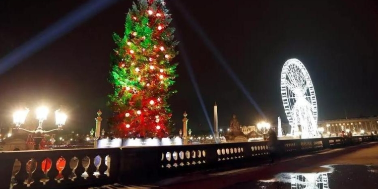 Во Франции рождественские елки включат в список товаров «первой необходимости»