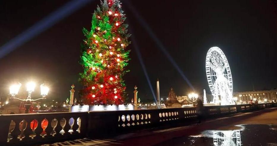 Во Франции рождественские елки включат в список товаров «первой необходимости» 1
