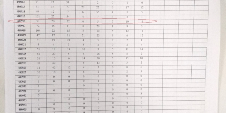 Николаевщина: ОПОРА обнаружила различия в протоколах городской ТИК и двух УИК (ФОТО, ВИДЕО)