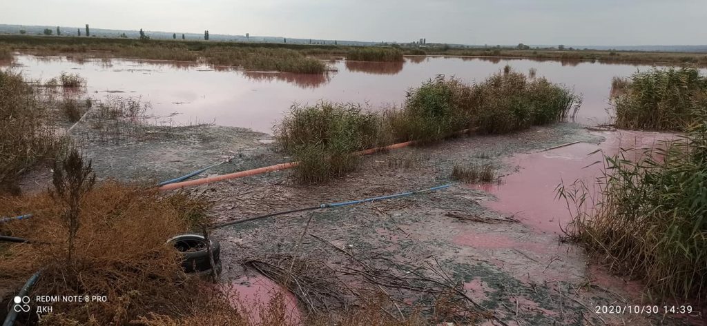 На Николаевщине вода в Южном Буге стала кровавого цвета, - жители винят местный маслозавод (ФОТО, ВИДЕО) 5