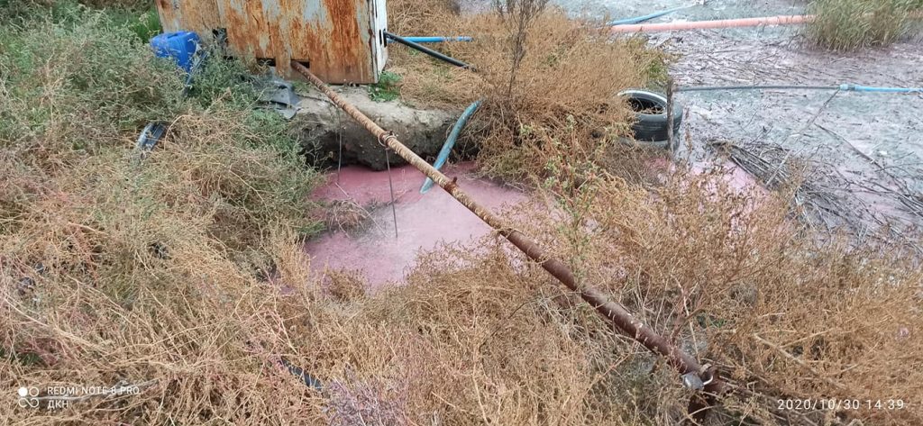 На Николаевщине вода в Южном Буге стала кровавого цвета, - жители винят местный маслозавод (ФОТО, ВИДЕО) 7