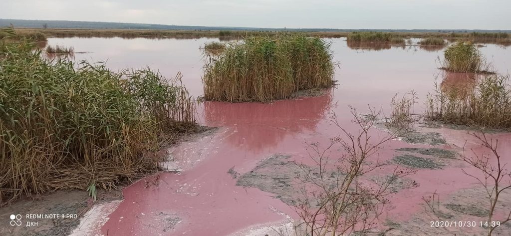 На Николаевщине вода в Южном Буге стала кровавого цвета, - жители винят местный маслозавод (ФОТО, ВИДЕО) 9