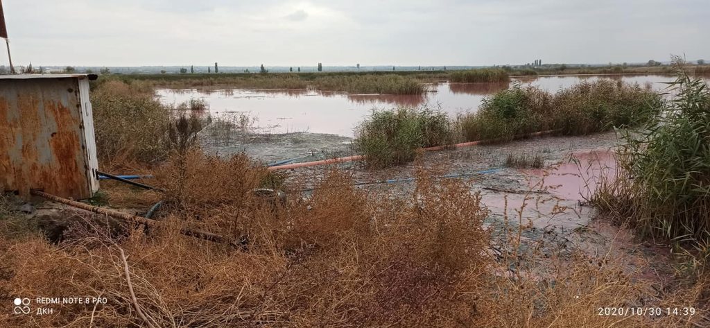 На Николаевщине вода в Южном Буге стала кровавого цвета, - жители винят местный маслозавод (ФОТО, ВИДЕО) 11
