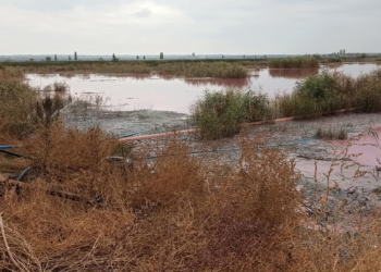 На Николаевщине вода в Южном Буге стала кровавого цвета, – жители винят местный маслозавод (ФОТО, ВИДЕО)