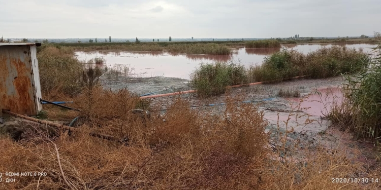На Николаевщине вода в Южном Буге стала кровавого цвета, – жители винят местный маслозавод (ФОТО, ВИДЕО)