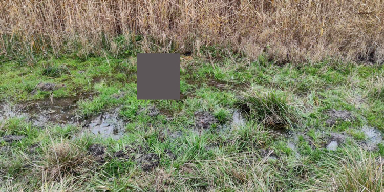 На Николаевщине в камышах нашли мертвого мужчину (ФОТО)