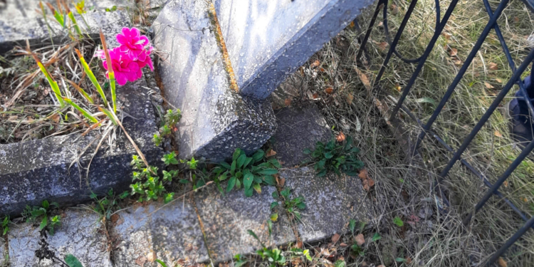 На Николаевщине задержали вандала, который разрушил могилы на кладбище