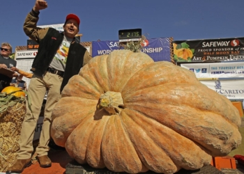 Фермер-любитель вырастил рекордную тыкву больше тонны весом