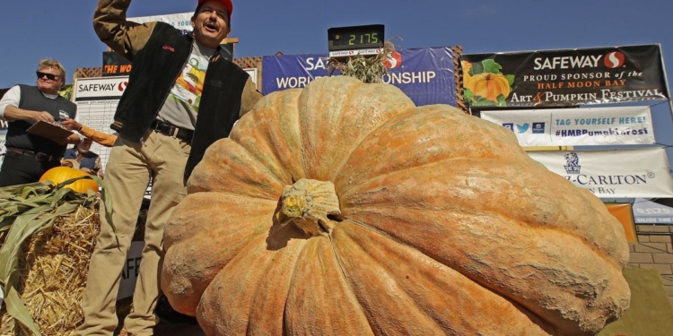 Фермер-любитель вырастил рекордную тыкву больше тонны весом