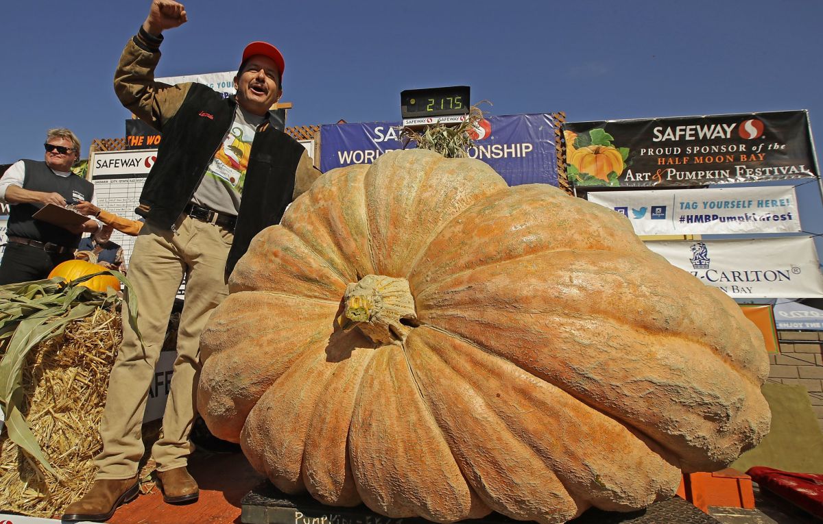 Фермер-любитель вырастил рекордную тыкву больше тонны весом