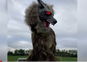 В Японии роботы-волки спасают от медведей (ВИДЕО)