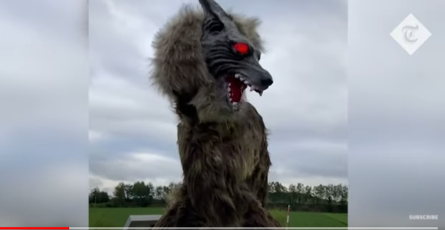 В Японии роботы-волки спасают от медведей (ВИДЕО)