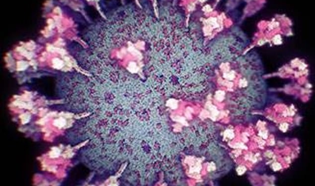 Ученые создали самую точную 3D-модель коронавируса (ФОТО, ВИДЕО)