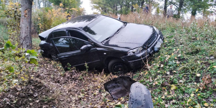 На проселочной дороге в Николаевской области пьяный водитель сбил 15-летнего пешехода (ФОТО)