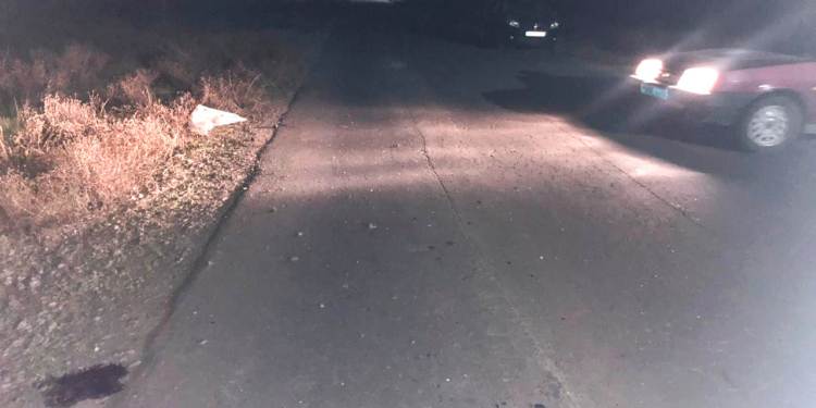 В Витовском районе автомобиль сбил мужчину и скрылся с места ДТП (ФОТО)